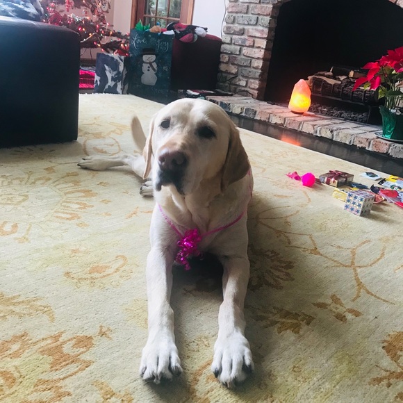 Meet your Posher, Jaclyn - Picture 6 of 7